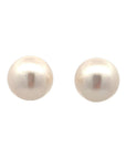 A pair of round pearl stud earrings against a white background.
