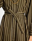 Eleanor Shirt Dress