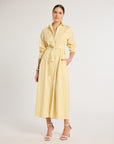 Eleanor Shirt Dress