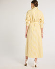 Eleanor Shirt Dress