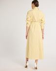 Eleanor Shirt Dress