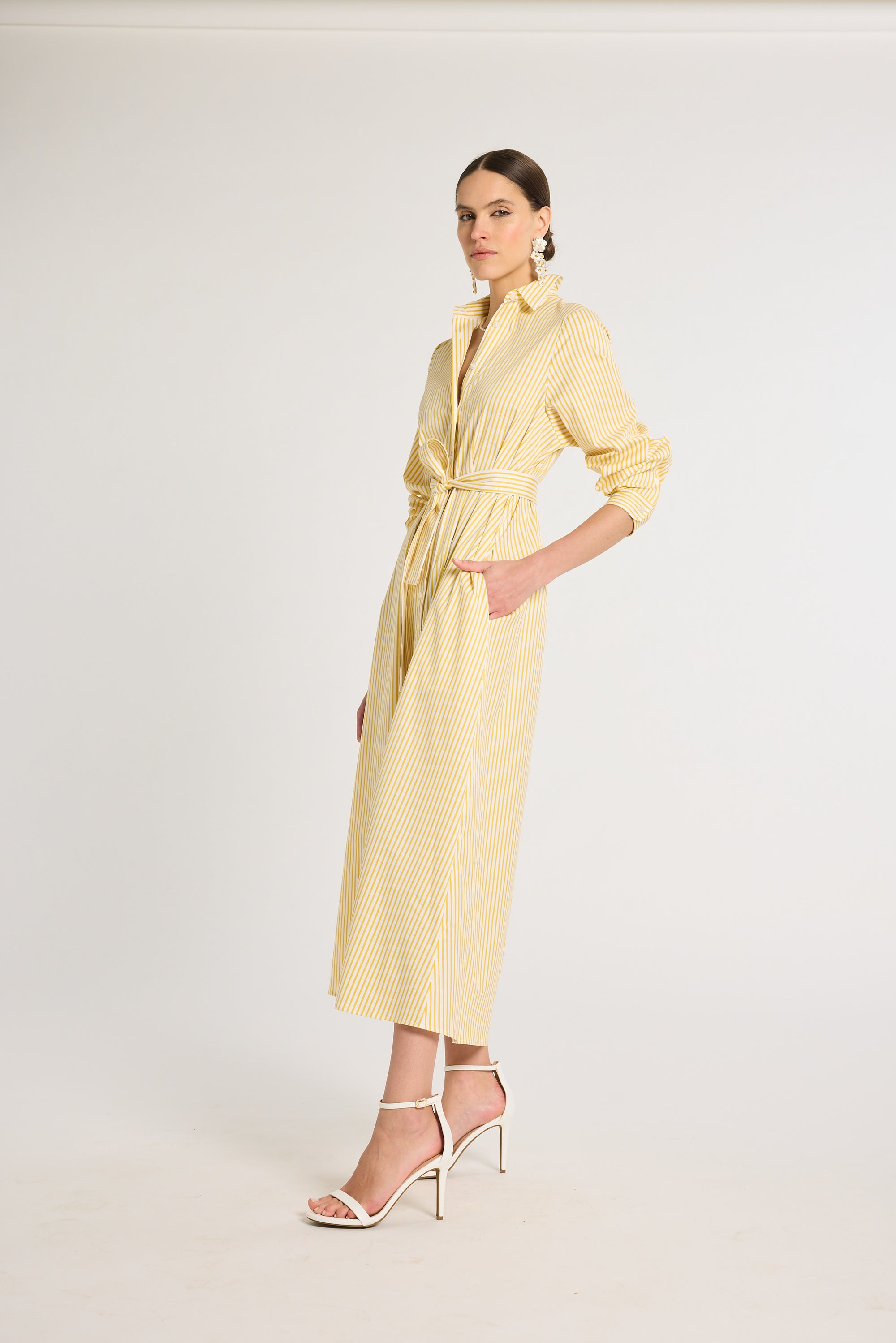 Eleanor Shirt Dress