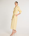 Eleanor Shirt Dress