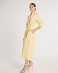 Eleanor Shirt Dress