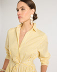 Eleanor Shirt Dress