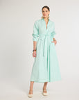 Eleanor Shirt Dress