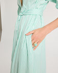 Eleanor Shirt Dress