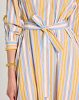Eleanor Shirt Dress
