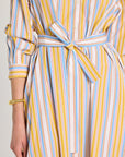 Eleanor Shirt Dress