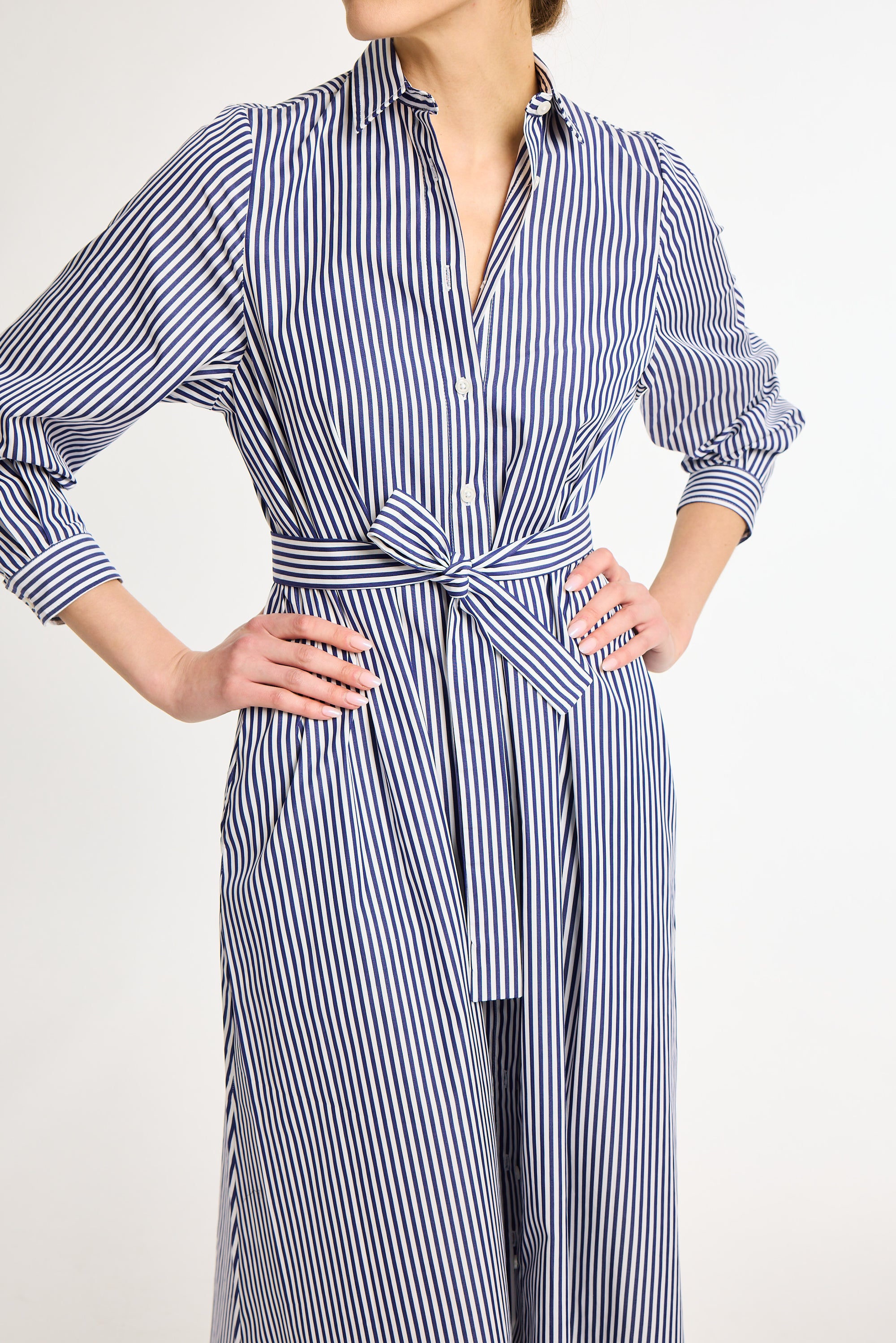 Eleanor Shirt Dress