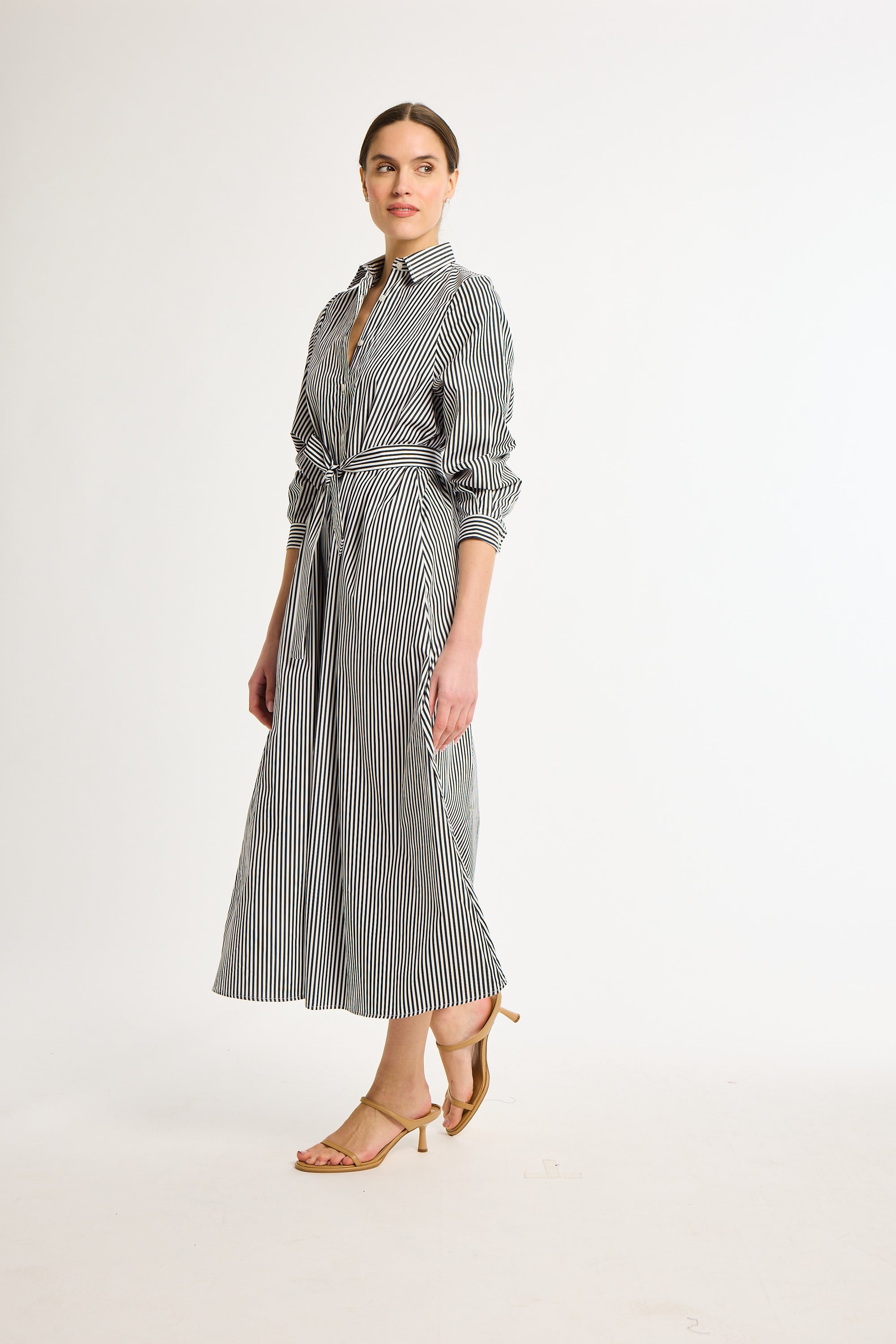 Eleanor Shirt Dress