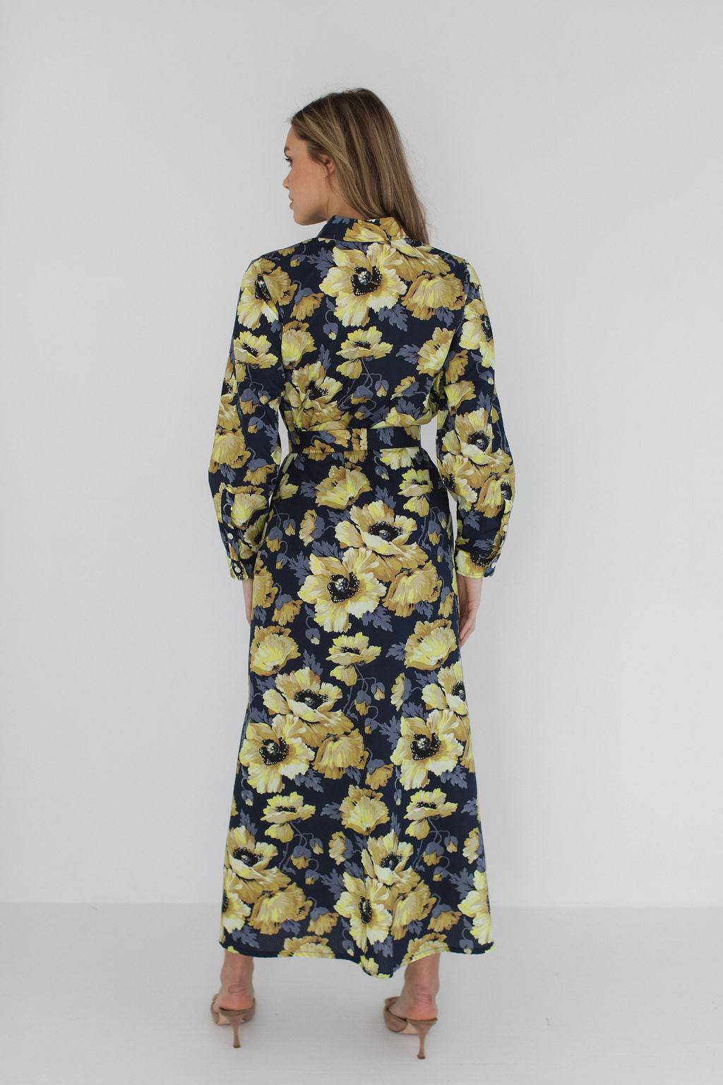 Eleanor Shirt Dress