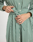 Eleanor Shirt Dress