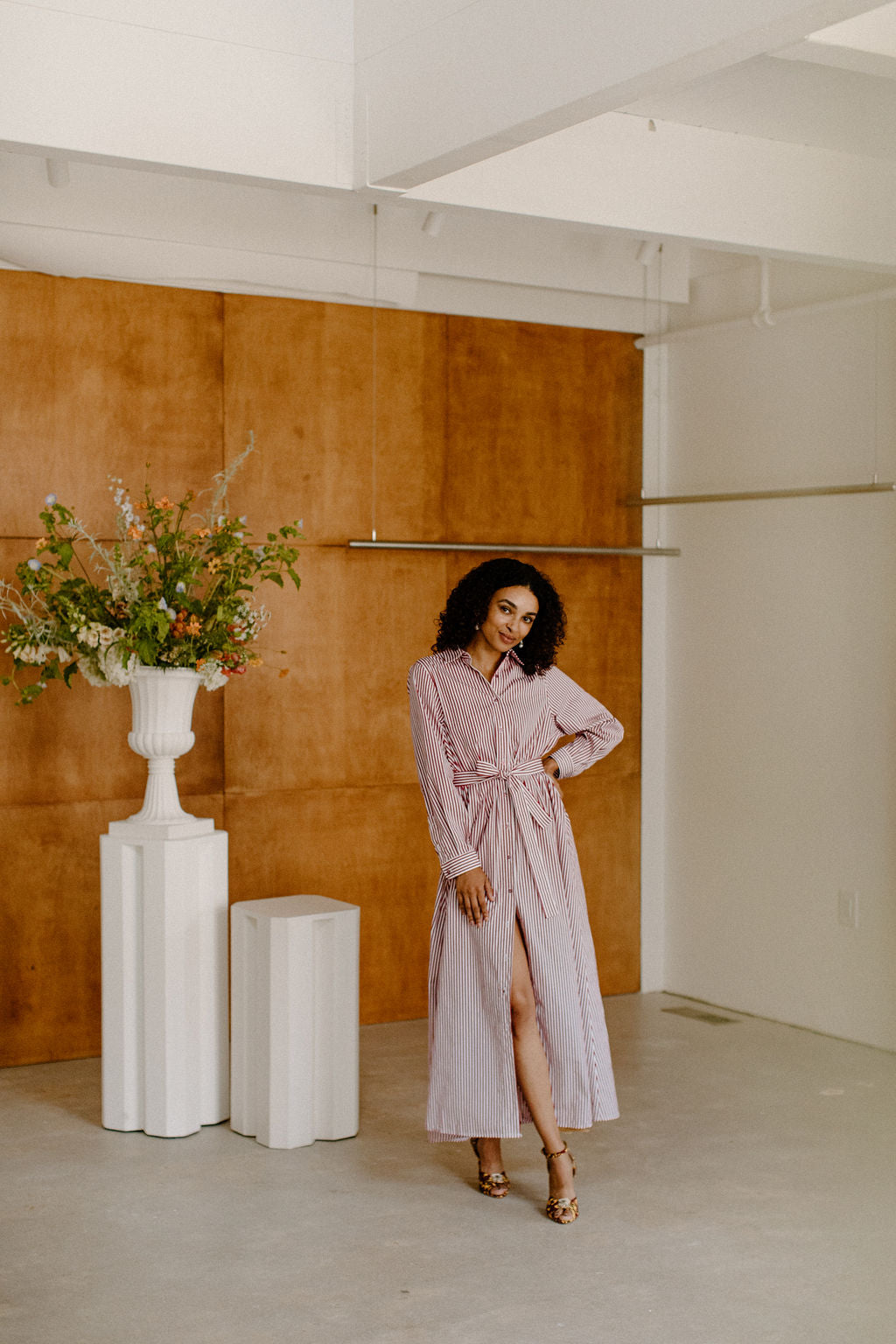 Eleanor Shirt Dress
