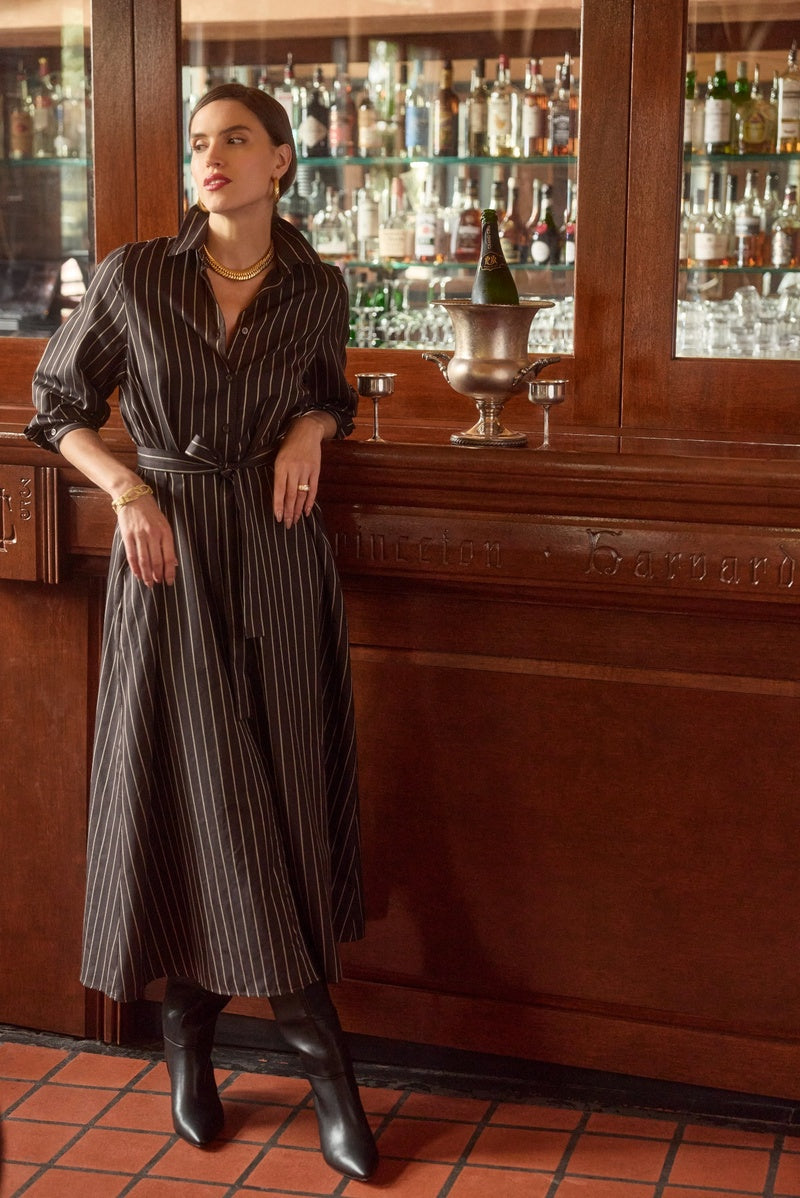 Eleanor Shirt Dress