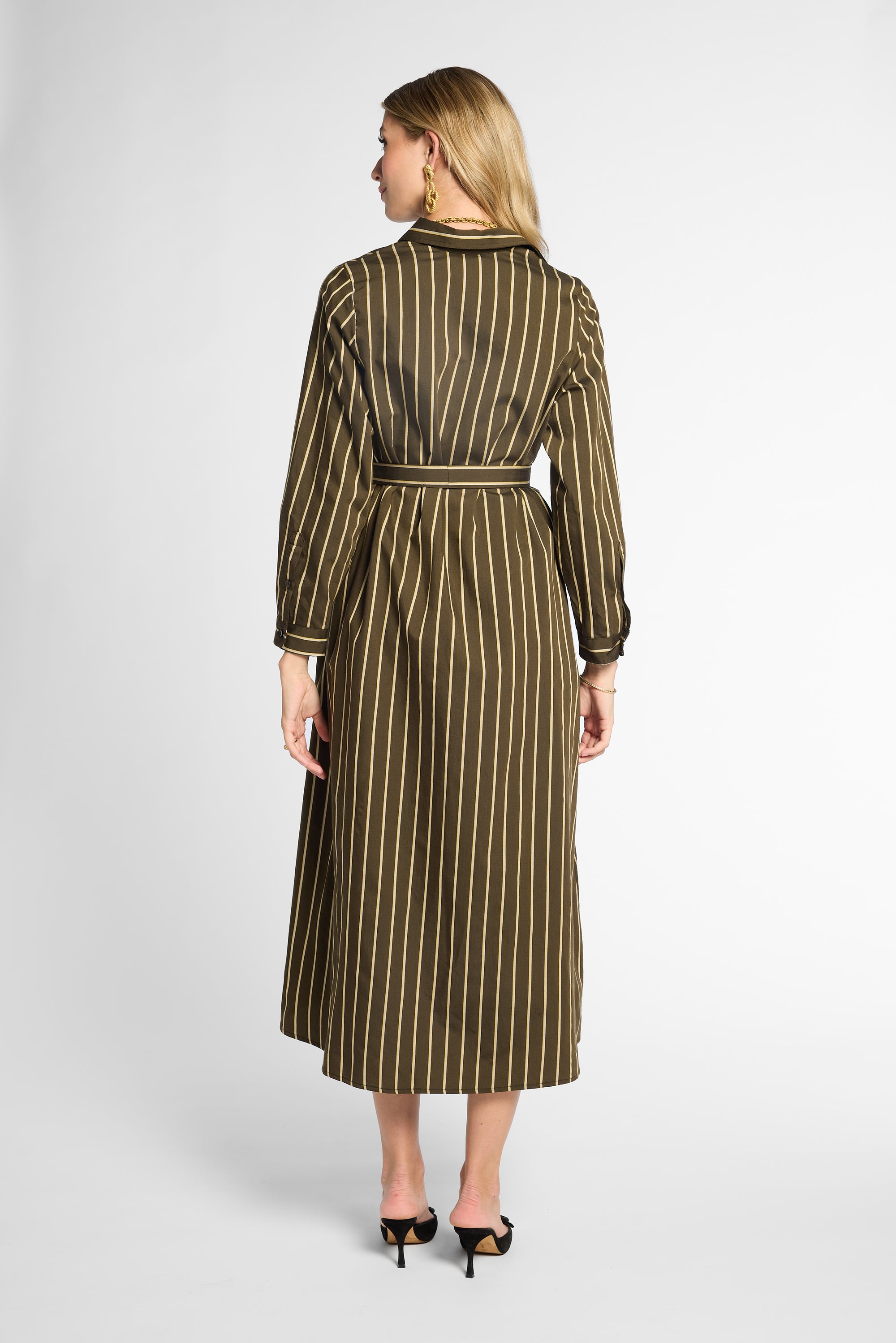 Eleanor Shirt Dress