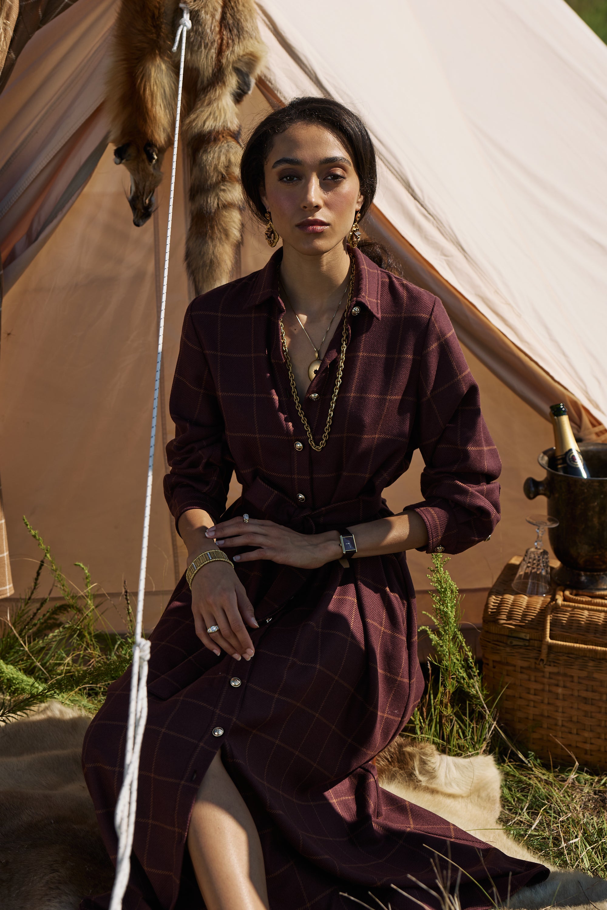 Eleanor Shirt Dress