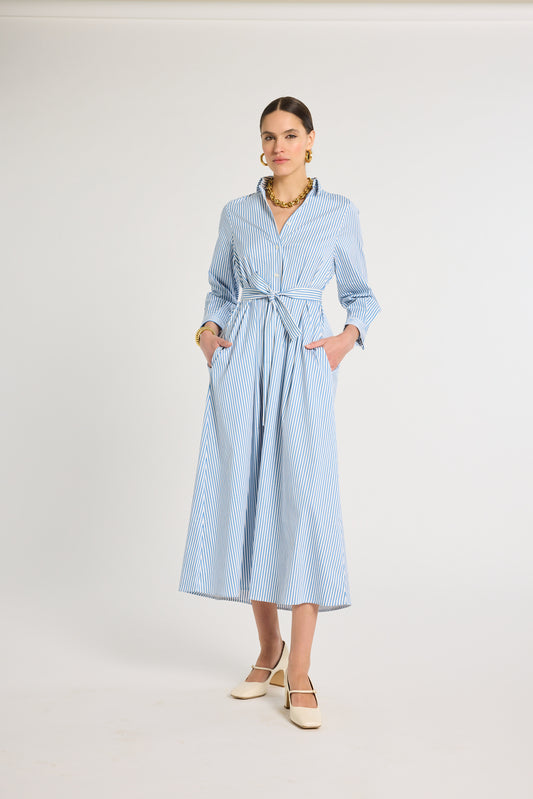 Eleanor Shirt Dress