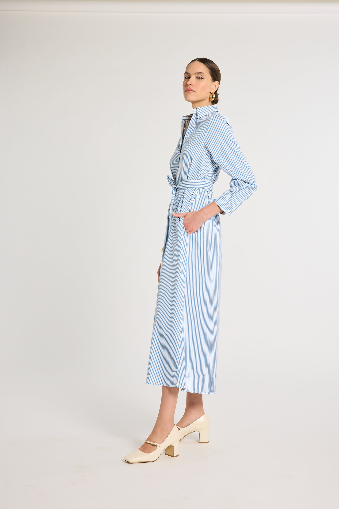 Eleanor Shirt Dress