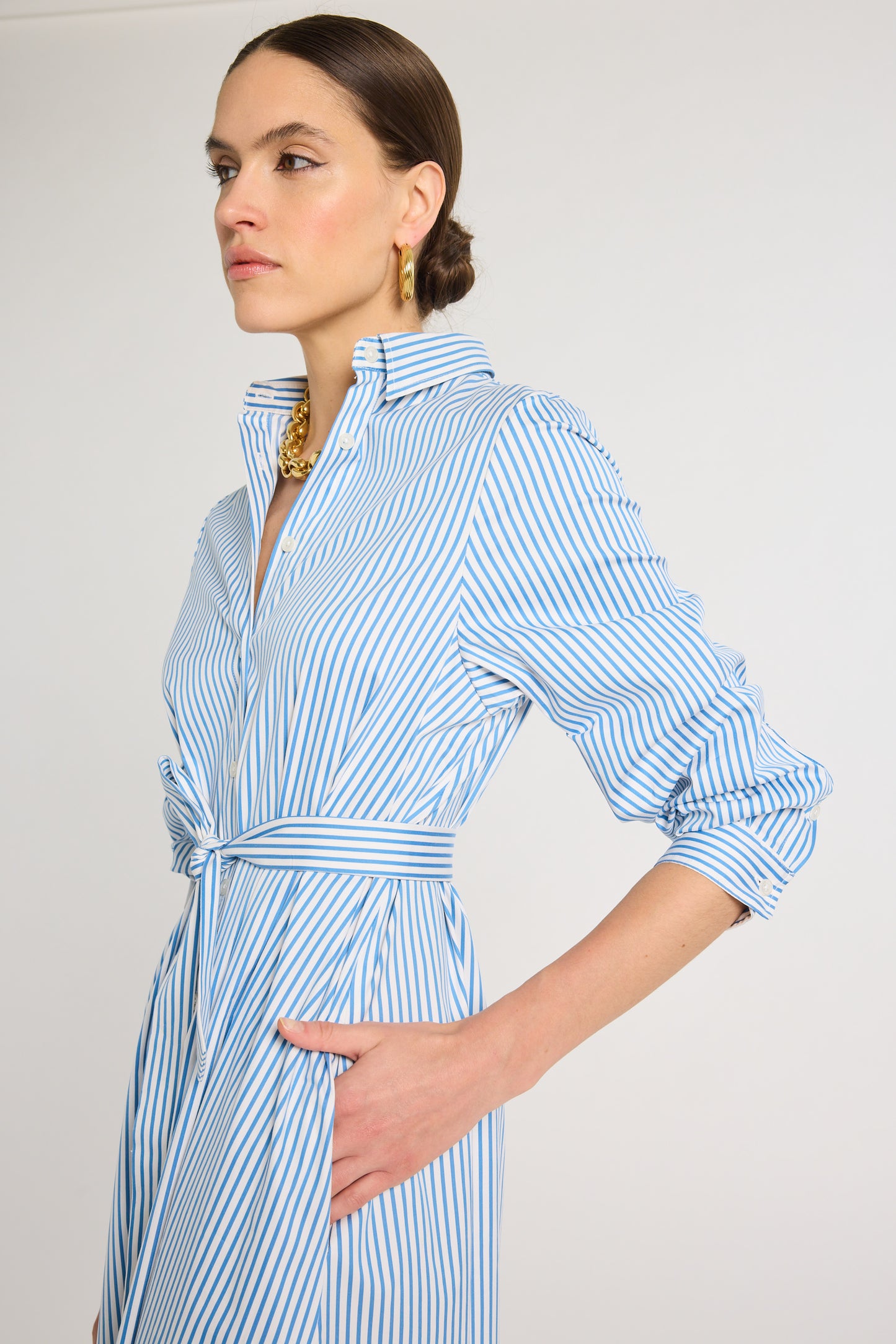 Eleanor Shirt Dress