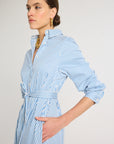 Eleanor Shirt Dress