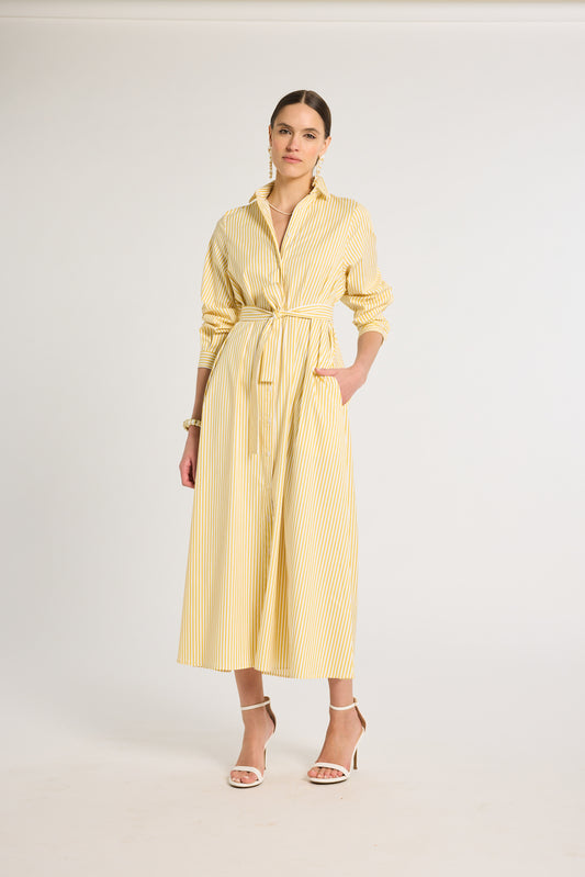 Eleanor Shirt Dress