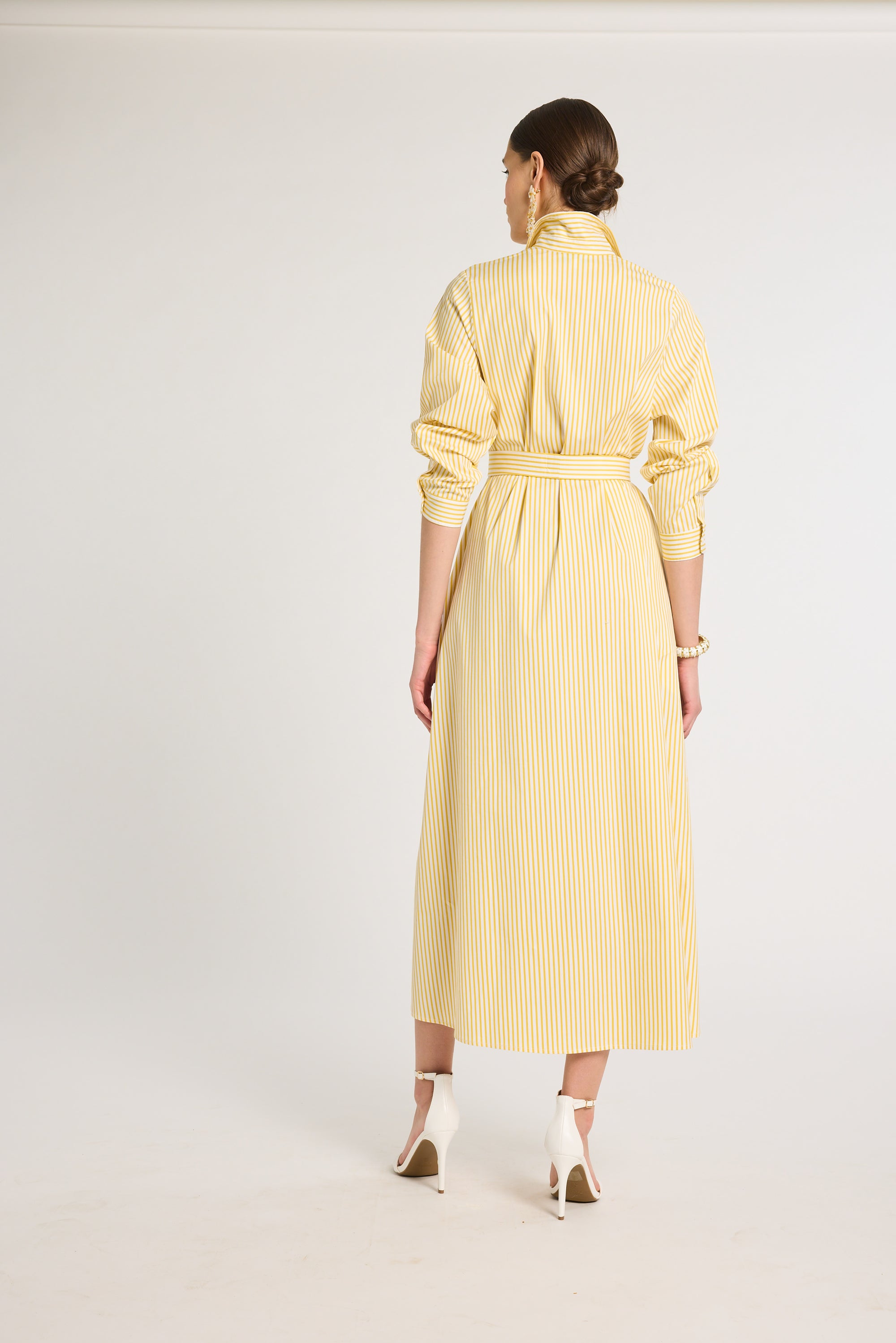 Eleanor Shirt Dress