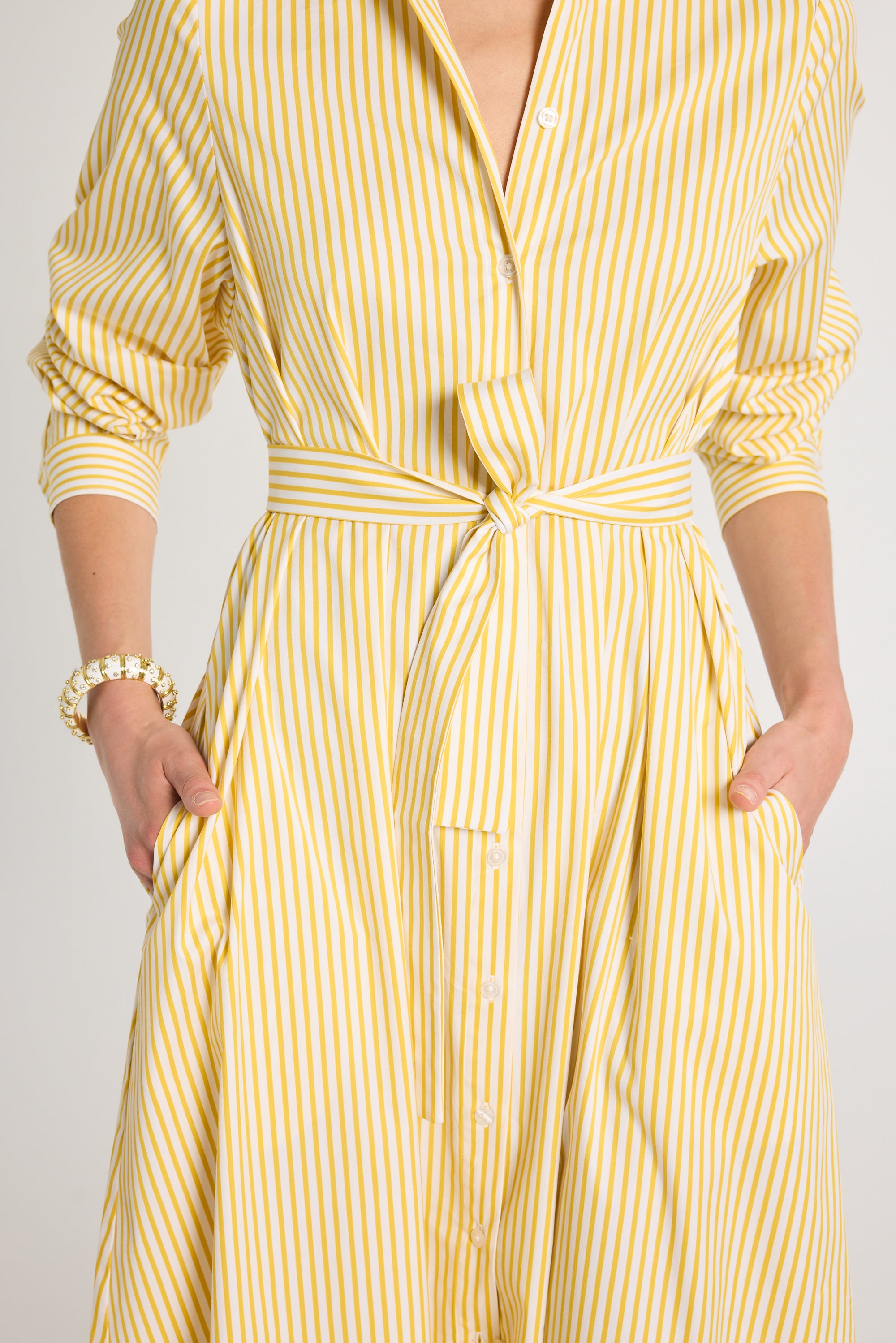 Eleanor Shirt Dress