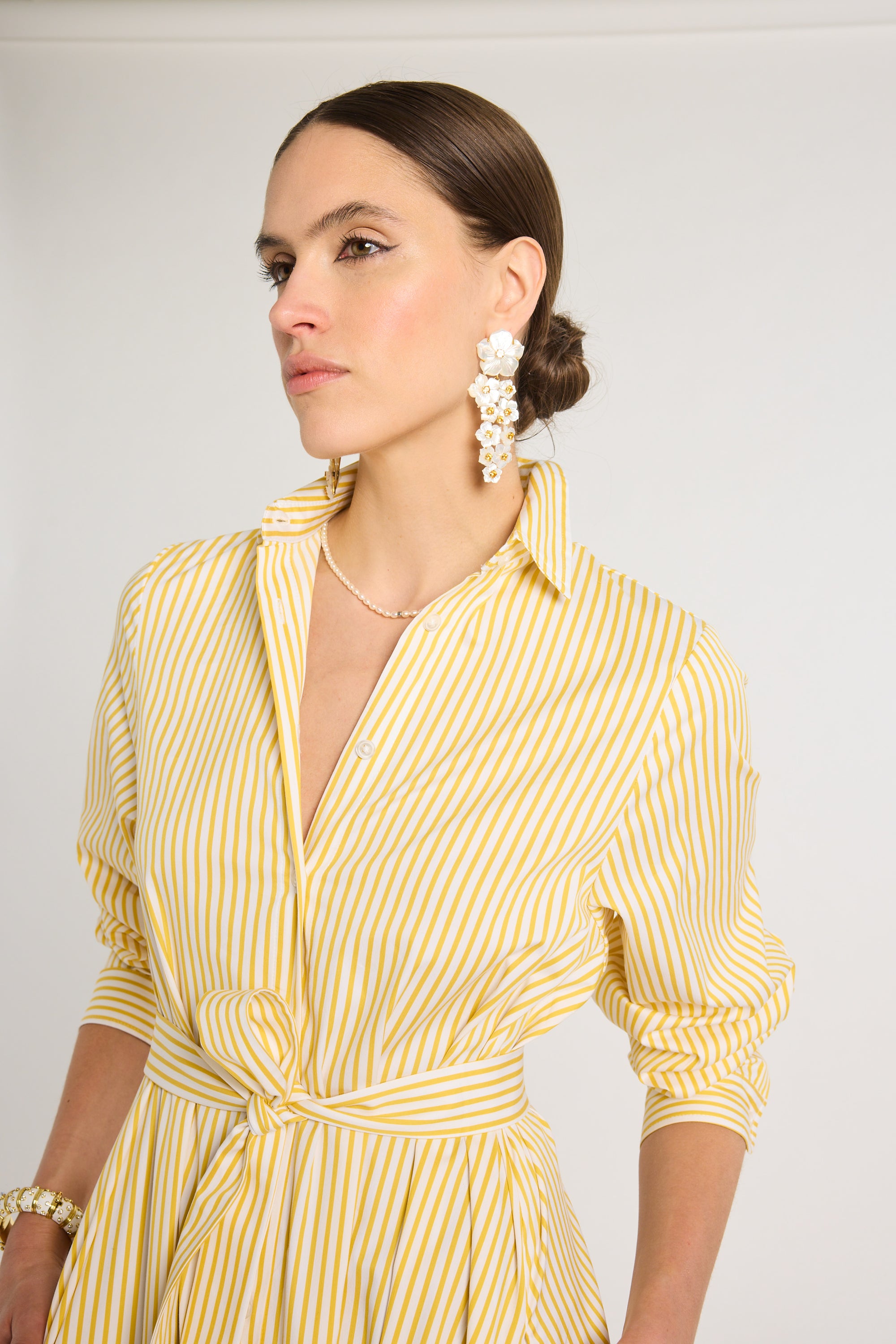Eleanor Shirt Dress