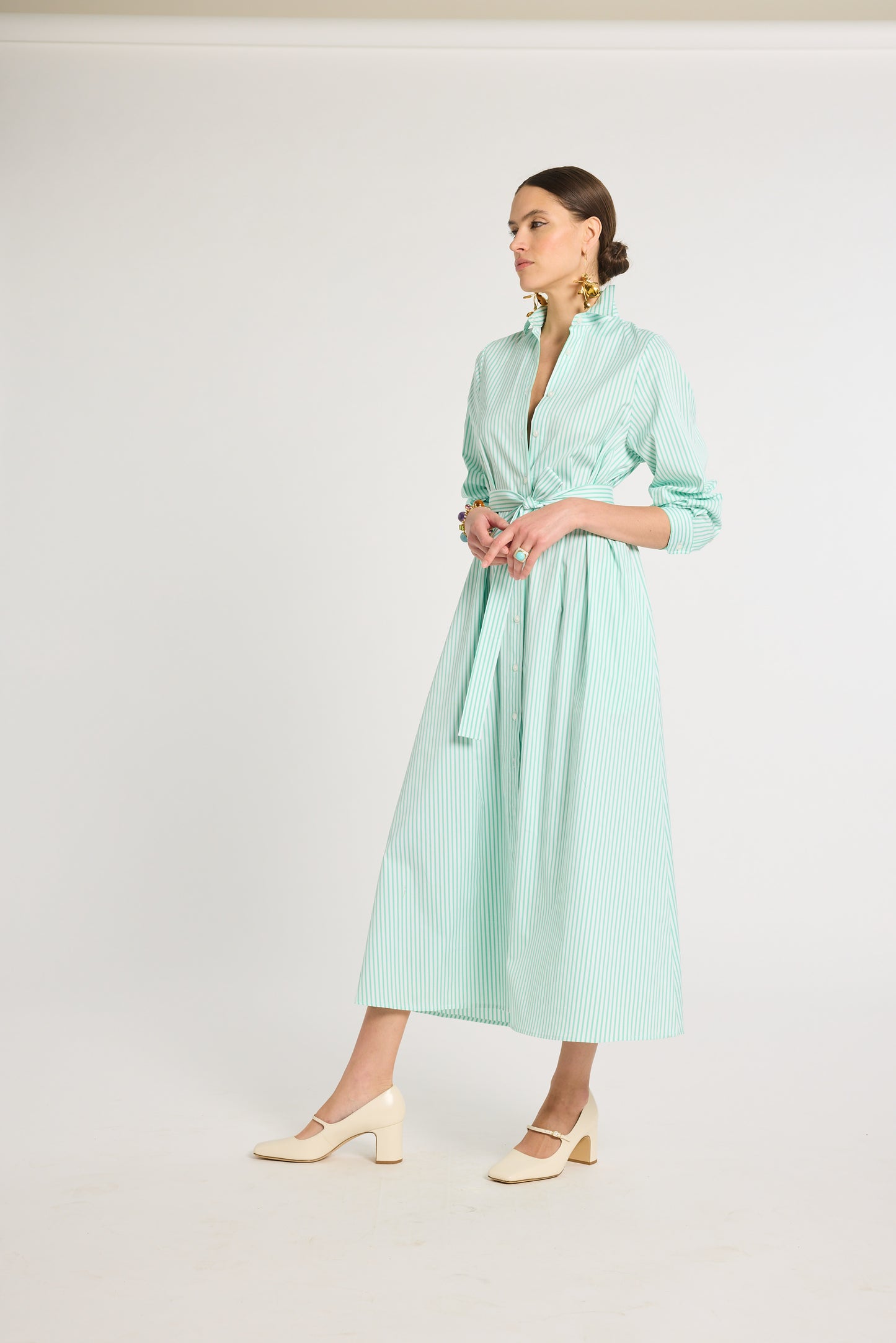 Eleanor Shirt Dress