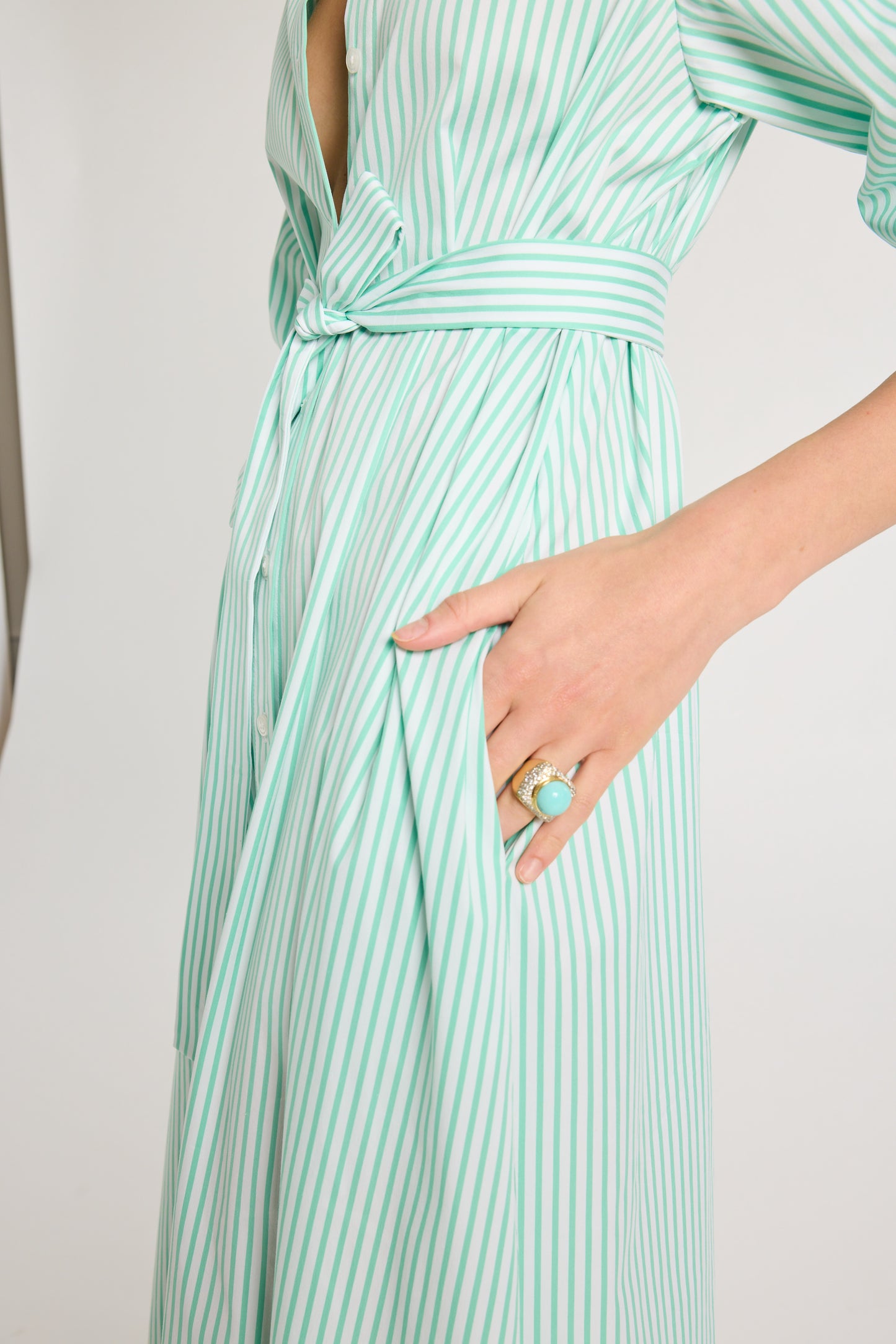 Eleanor Shirt Dress