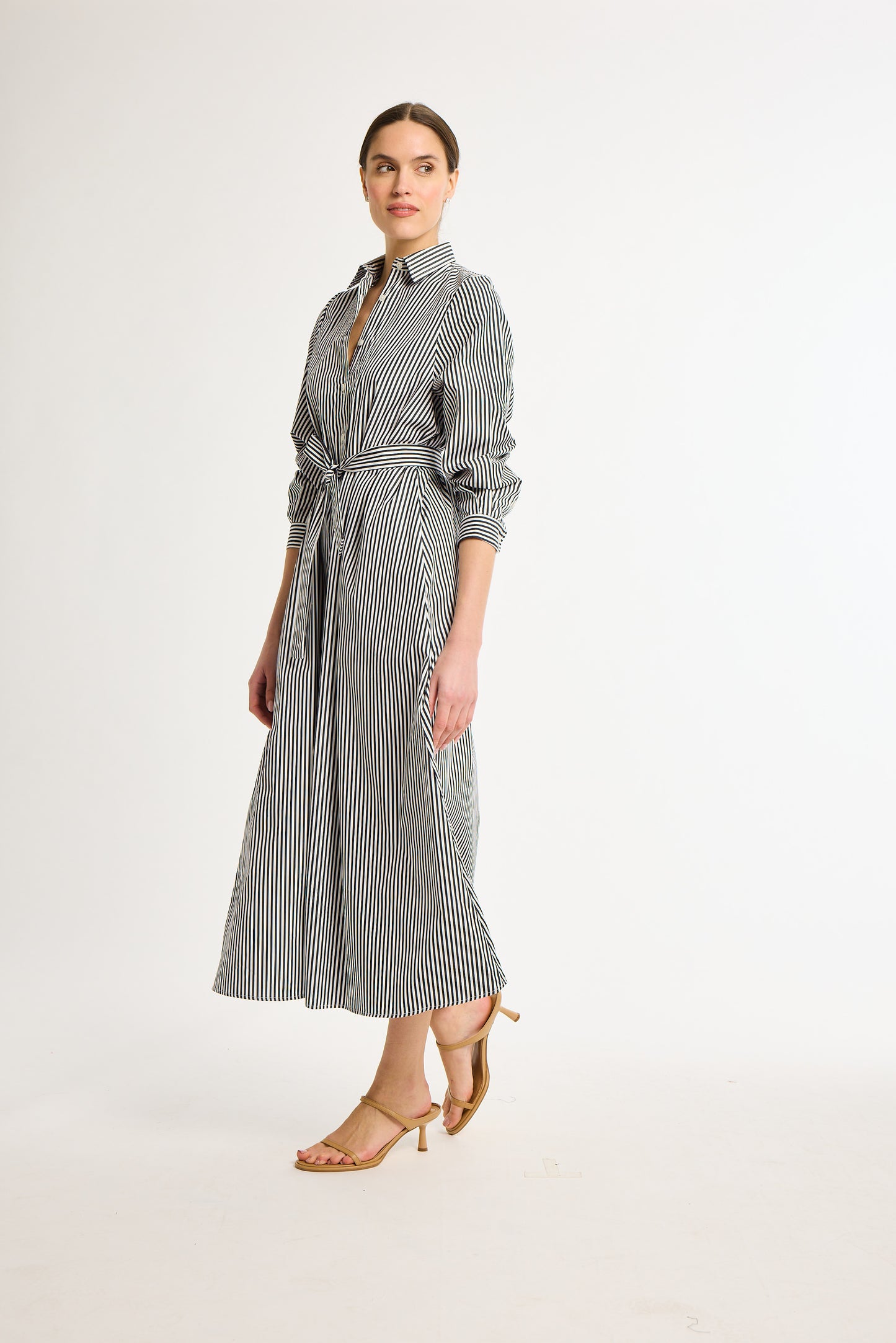Eleanor Shirt Dress