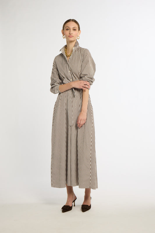 Eleanor Shirt Dress