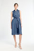 Woman wearing a blue dress with a white background