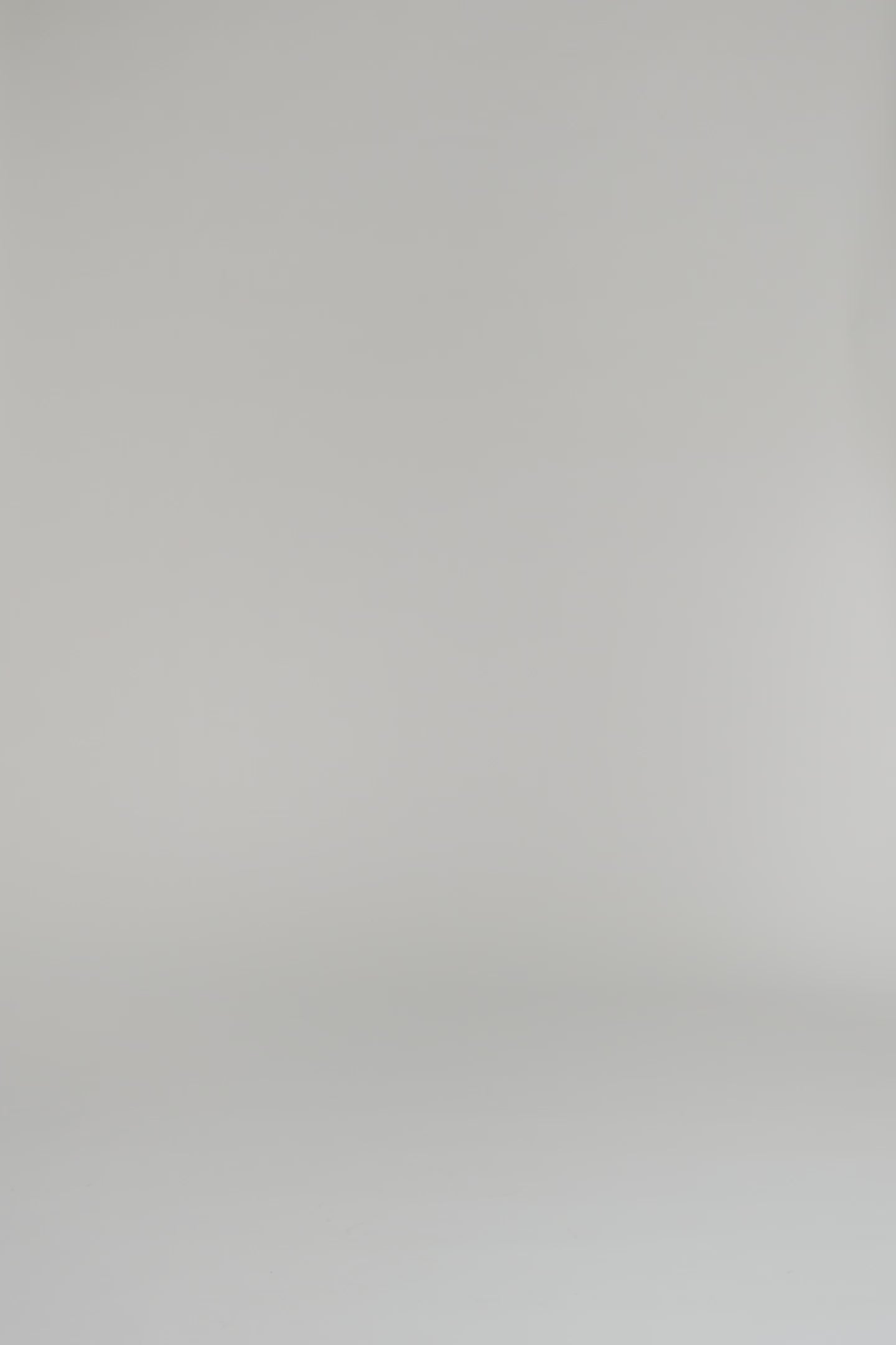 woman modeling long sleeve blue and white floral dress on a white backdrop