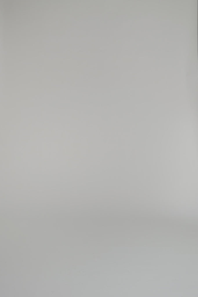 woman modeling a pair blue floral pattern shorts on a white background 