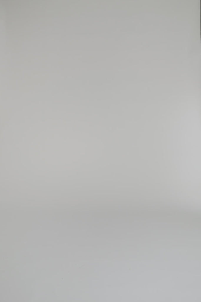 woman modeling mid length floral dress on a white backdrop